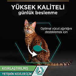Pro Plan Pouch Sos İçinde Balık Etli Kısırlaştırılmış Kedi Yaş Maması 85 Gr - 2
