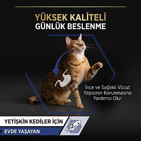 Pro Plan Pouch Sos İçinde Somonlu Indoor Kedi Yaş Maması 85 Gr - 4