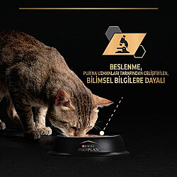 Pro Plan Pouch Sos İçinde Somonlu Indoor Kedi Yaş Maması 85 Gr - 7