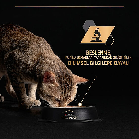 Pro Plan Pouch Sos İçinde Somonlu Indoor Kedi Yaş Maması 85 Gr - 7
