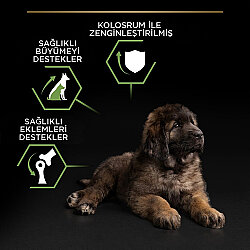 Pro Plan Puppy Large Tavuk Büyük Irk Yavru Köpek Maması 12 Kg x 2 Adet + 12 Adet Pro Plan Konserve - 5
