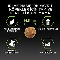 Pro Plan Puppy Large Tavuk Büyük Irk Yavru Köpek Maması 12 Kg x 2 Adet + 12 Adet Pro Plan Konserve - 6