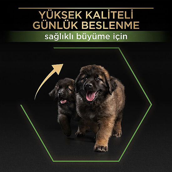 Pro Plan Puppy Large Tavuk Büyük Irk Yavru Köpek Maması 12 Kg + 3 Adet Pro Plan Konserve 400 Gr - 3