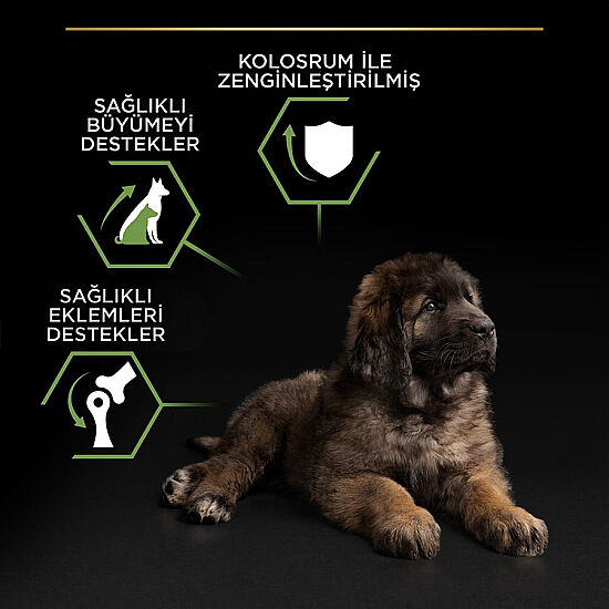 Pro Plan Puppy Large Tavuk Büyük Irk Yavru Köpek Maması 12 Kg + 3 Adet Pro Plan Konserve 400 Gr - 4
