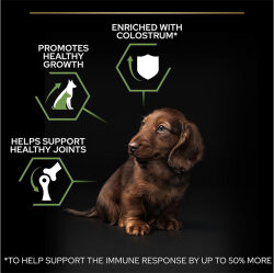 Pro Plan Puppy Tavuk Etli Küçük Irk Yavru Köpek Maması 3 Kg + Gimdog 70 Gr Köpek Ödülü - 6