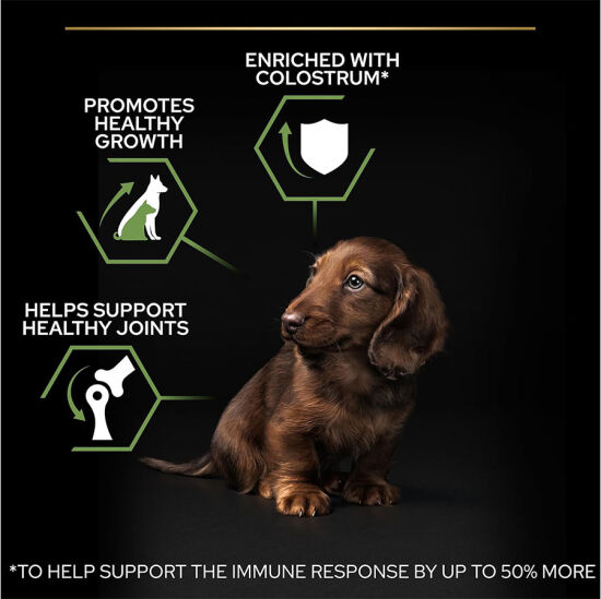 Pro Plan Puppy Tavuk Etli Küçük Irk Yavru Köpek Maması 3 Kg + Gimdog 70 Gr Köpek Ödülü - 6