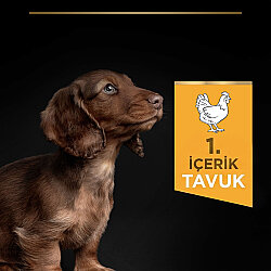 Pro Plan Puppy Tavuk Etli Küçük Irk Yavru Köpek Maması 3 Kg + Pro Plan Konserve 400 Gr - 4