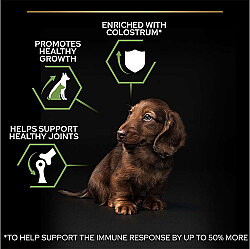 Pro Plan Puppy Tavuk Etli Küçük Irk Yavru Köpek Maması 3 Kg x 2 Adet - 6