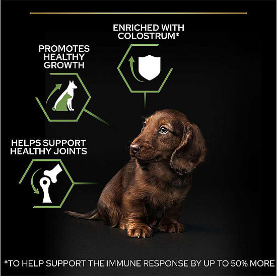 Pro Plan Puppy Tavuk Etli Küçük Irk Yavru Köpek Maması 3 Kg x 2 Adet - 6