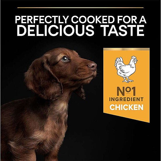 Pro Plan Puppy Tavuk Etli Küçük Irk Yavru Köpek Maması 3 Kg x 2 Adet - 7