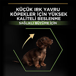 Pro Plan Puppy Tavuk Etli Küçük Irk Yavru Köpek Maması 3 Kg x 2 Adet + 3 Adet Pro Plan Konserve - 3