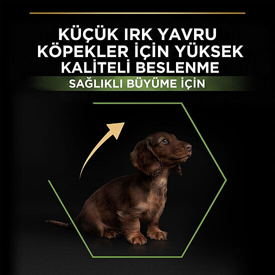 Pro Plan Puppy Tavuk Etli Küçük Irk Yavru Köpek Maması 3 Kg x 2 Adet + 3 Adet Pro Plan Konserve - 3