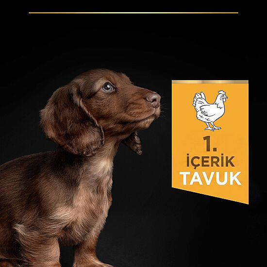 Pro Plan Puppy Tavuk Etli Küçük Irk Yavru Köpek Maması 3 Kg x 2 Adet + 3 Adet Pro Plan Konserve - 4