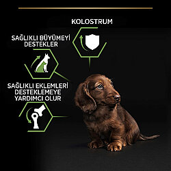 Pro Plan Puppy Tavuk Etli Küçük Irk Yavru Köpek Maması 3 Kg x 2 Adet + 3 Adet Pro Plan Konserve - 5