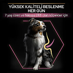 Pro Plan Senior Medium Large Somonlu Yaşlı Köpek Maması 14 Kg + 3 Adet Pro Plan Konserve 400 Gr - 4