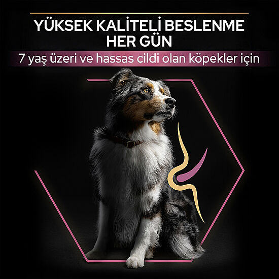 Pro Plan Senior Medium Large Somonlu Yaşlı Köpek Maması 14 Kg + 3 Adet Pro Plan Konserve 400 Gr - 4