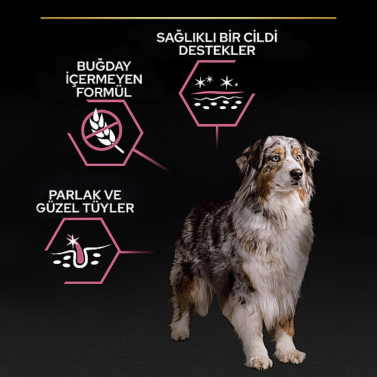 Pro Plan Senior Medium Large Somonlu Yaşlı Köpek Maması 14 Kg + 3 Adet Pro Plan Konserve 400 Gr - 5