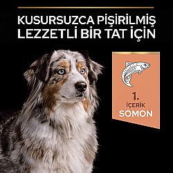 Pro Plan Senior Medium Large Somonlu Yaşlı Köpek Maması 14 Kg + 3 Adet Pro Plan Konserve 400 Gr - 6