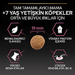 Pro Plan Senior Medium Large Somonlu Yaşlı Köpek Maması 14 Kg + 3 Adet Pro Plan Konserve 400 Gr - 7