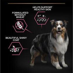 Pro Plan Sensitive Somon Hassas Köpek Maması 3 Kg - 4