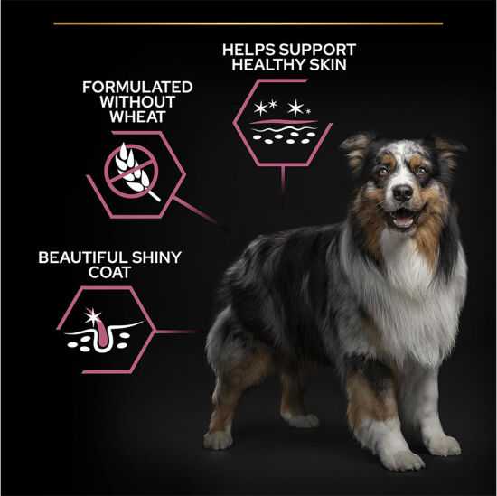 Pro Plan Sensitive Somon Hassas Köpek Maması 3 Kg + Gimdog 70 Gr Köpek Ödülü - 5