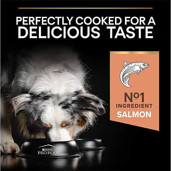 Pro Plan Sensitive Somon Hassas Köpek Maması 3 Kg x 2 Adet - 5