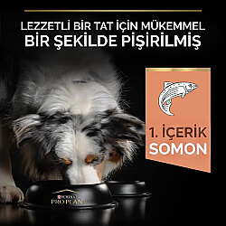 Pro Plan Sensitive Somonlu Hassas Köpek Maması 14 + 2,5 Kg (Toplam 16,5 Kg) x 2 Adet + 12 Adet Pro Plan Konserve - 4