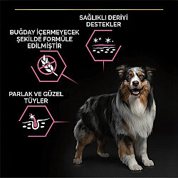Pro Plan Sensitive Somonlu Hassas Köpek Maması 14 + 2,5 Kg (Toplam 16,5 Kg) x 2 Adet + 12 Adet Pro Plan Konserve - 5