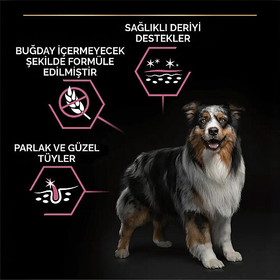 Pro Plan Sensitive Somonlu Hassas Köpek Maması 14 + 2,5 Kg (Toplam 16,5 Kg) x 2 Adet + 12 Adet Pro Plan Konserve - 5