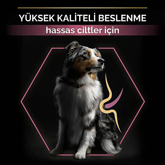Pro Plan Sensitive Somonlu Hassas Köpek Maması 14 + 2,5 Kg (Toplam 16,5 Kg) x 2 Adet + 12 Adet Pro Plan Konserve - 6