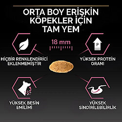 Pro Plan Sensitive Somonlu Hassas Köpek Maması 14 + 2,5 Kg (Toplam 16,5 Kg) x 2 Adet + 12 Adet Pro Plan Konserve - 7