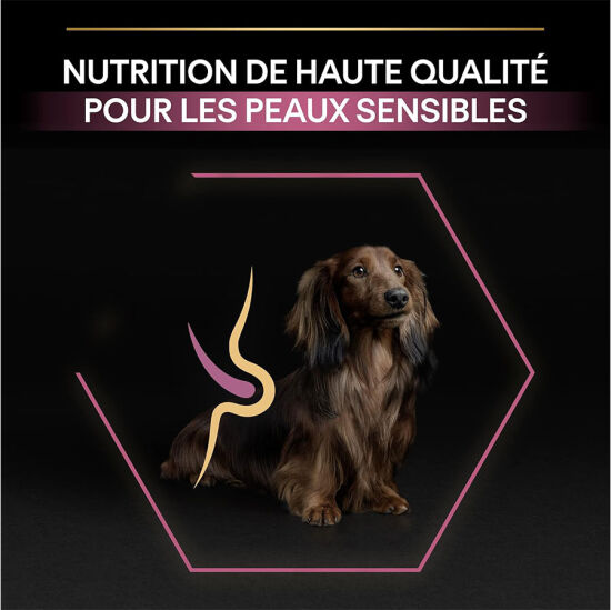 Pro Plan Somonlu Küçük Irk Köpek Maması 3 Kg + Pro Plan 400 Gr Konserve - 4