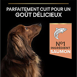 Pro Plan Somonlu Küçük Irk Köpek Maması 3 Kg x 2 Adet - 7