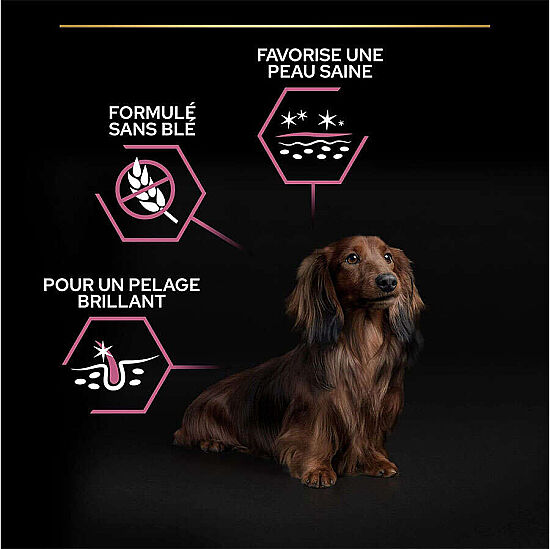 Pro Plan Somonlu Küçük Irk Köpek Maması 3 Kg x 2 Adet - 8