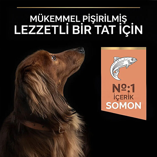 Pro Plan Somonlu Küçük Irk Köpek Maması 7 Kg + 2 Adet Pro Plan Konserve 400 Gr - 3