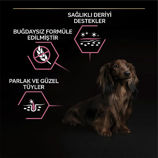 Pro Plan Somonlu Küçük Irk Köpek Maması 7 Kg + 2 Adet Pro Plan Konserve 400 Gr - 4