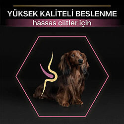 Pro Plan Somonlu Küçük Irk Köpek Maması 7 Kg + 2 Adet Pro Plan Konserve 400 Gr - 6