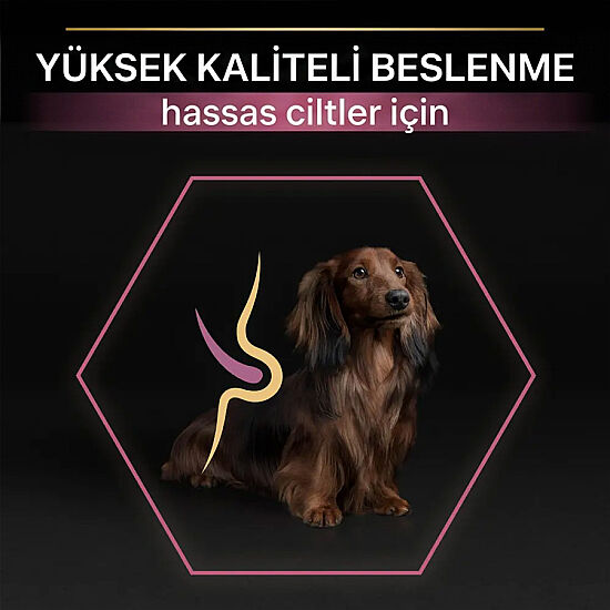 Pro Plan Somonlu Küçük Irk Köpek Maması 7 Kg + 2 Adet Pro Plan Konserve 400 Gr - 6