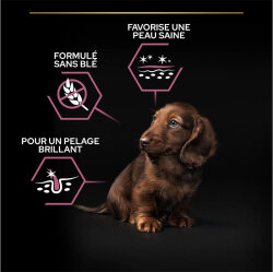 Pro Plan Somonlu Küçük Irk Yavru Köpek Maması 3 Kg + Gimdog 70 Gr Köpek Ödülü - 6