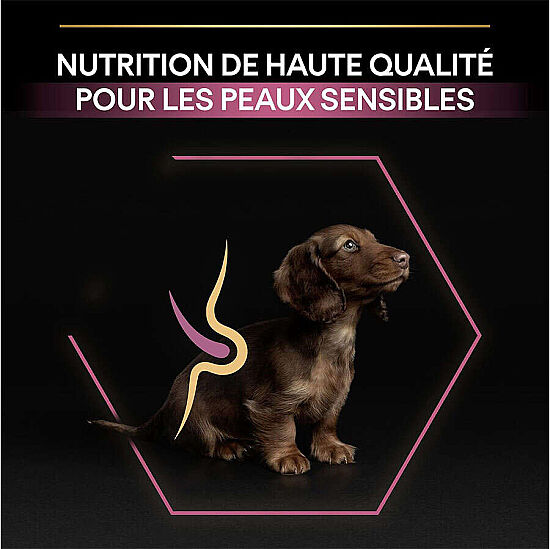 Pro Plan Somonlu Küçük Irk Yavru Köpek Maması 3 Kg x 2 Adet - 4