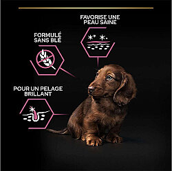 Pro Plan Somonlu Küçük Irk Yavru Köpek Maması 3 Kg x 2 Adet - 6