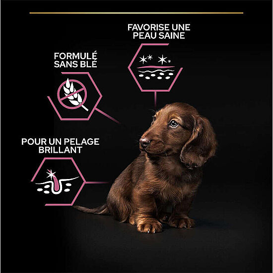 Pro Plan Somonlu Küçük Irk Yavru Köpek Maması 3 Kg x 2 Adet - 6