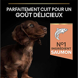 Pro Plan Somonlu Küçük Irk Yavru Köpek Maması 3 Kg x 2 Adet - 8