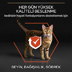 Pro Plan Somonlu Kedi Maması 10 Kg x 2 Adet + 35 Adet Pro Plan Hairball Pouch - 3