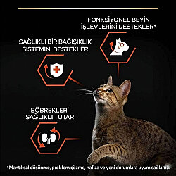 Pro Plan Somonlu Kedi Maması 10 Kg x 2 Adet + 35 Adet Pro Plan Hairball Pouch - 4