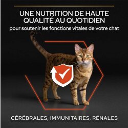 Pro Plan Somonlu Kedi Maması 3 Kg + 3 Adet Wooc Lolipop - 3