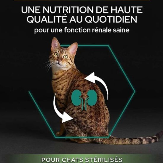 Pro Plan Kısırlaştırılmış Hindi Etli Kedi Maması 10 Kg + Everclean 10 Lt Kedi Kumu - 4