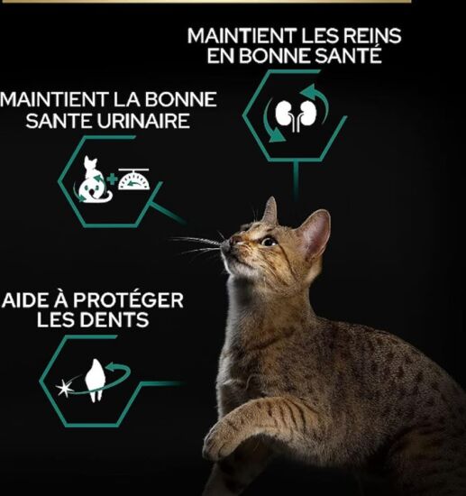 Pro Plan Kısırlaştırılmış Hindi Etli Kedi Maması 10 Kg + Everclean 10 Lt Kedi Kumu - 5