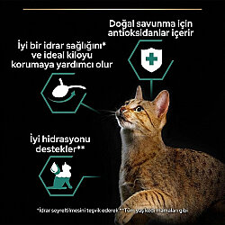 Pro Plan Sterilised Ton ve Somonlu Kısırlaştırılmış Kedi Konservesi 85 Gr - 4 Al 3 Öde - 3