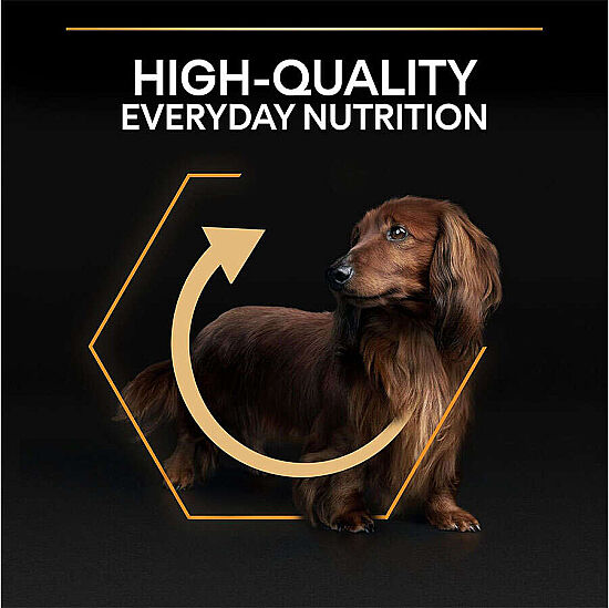 Pro Plan Tavuk Etli Küçük Irk Köpek Maması 3 Kg x 2 Adet - 5